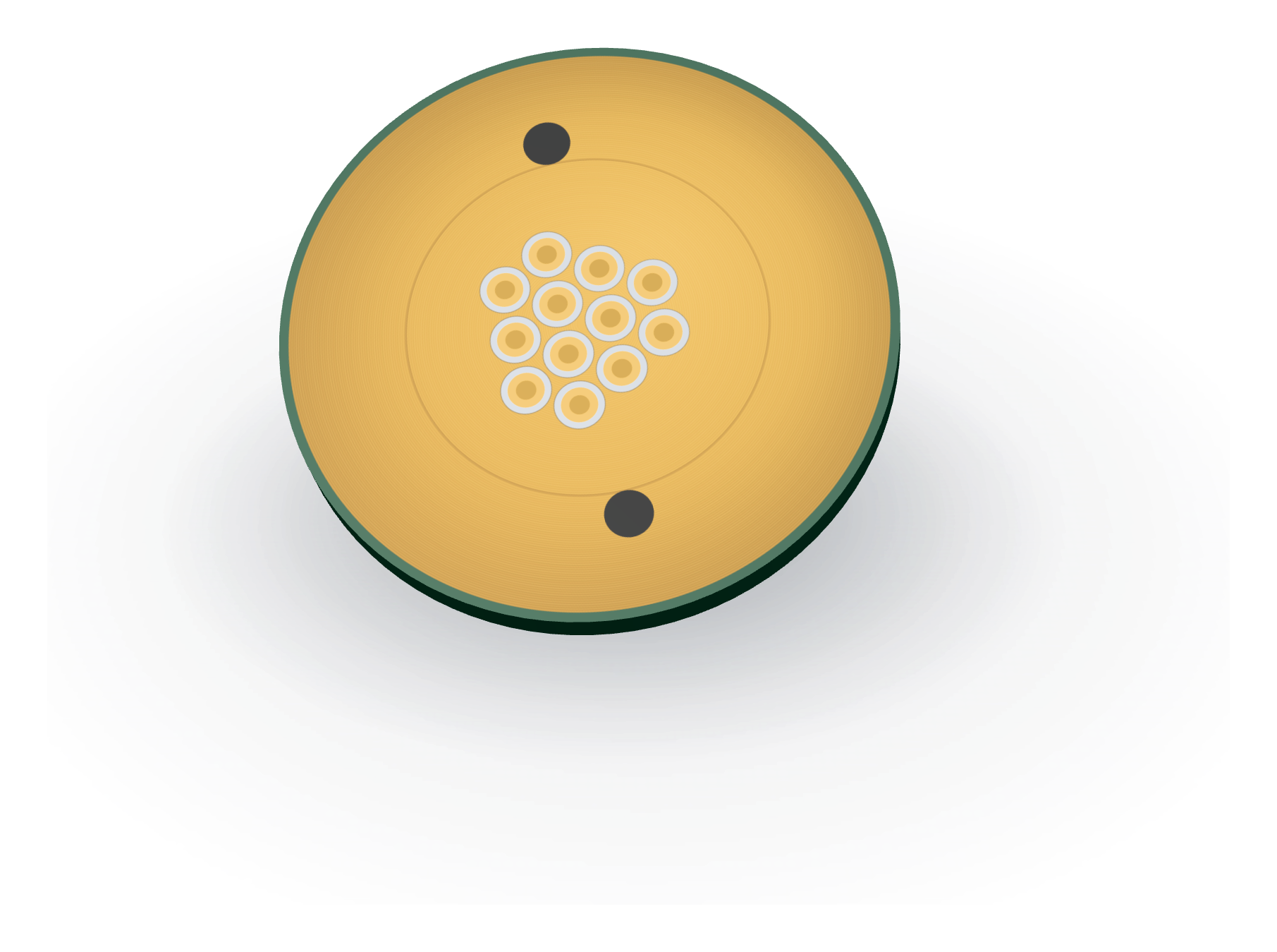 The BioMEMS biosensor chip: a gold sensor disc on a green board, with twelve wells in its centre.